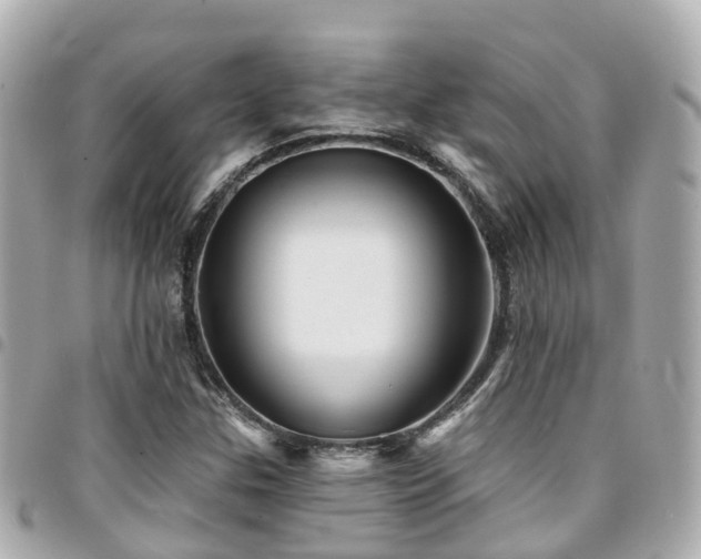 X0000094421307200711081129