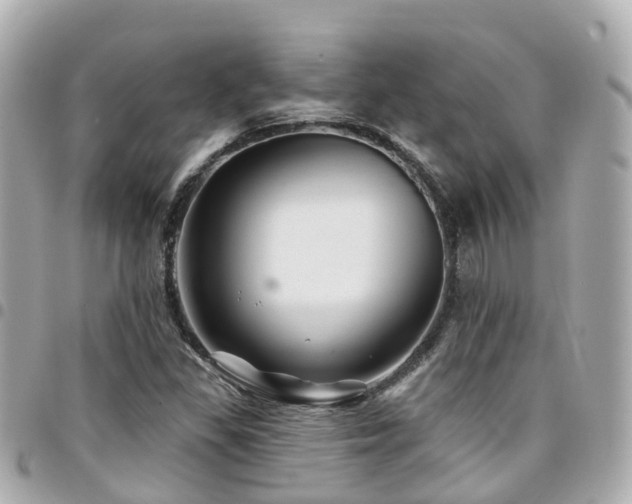 X0000094421309200711081129