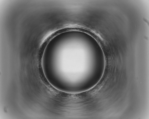 X0000094421311200711081129