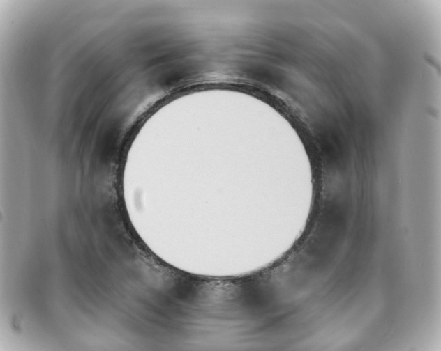 X0000094421314200711081129