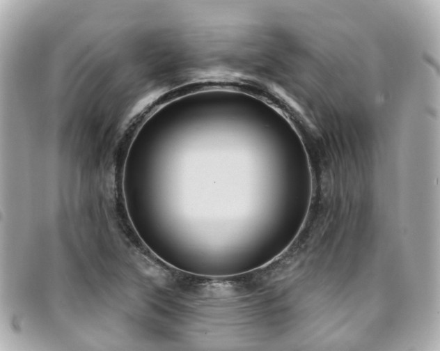 X0000094421315200711081129