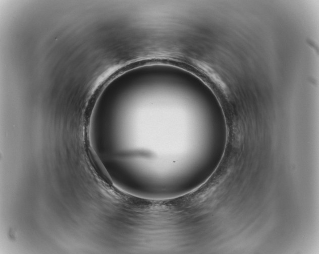 X0000094421316200711081129