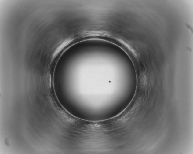 X0000094421317200711081129