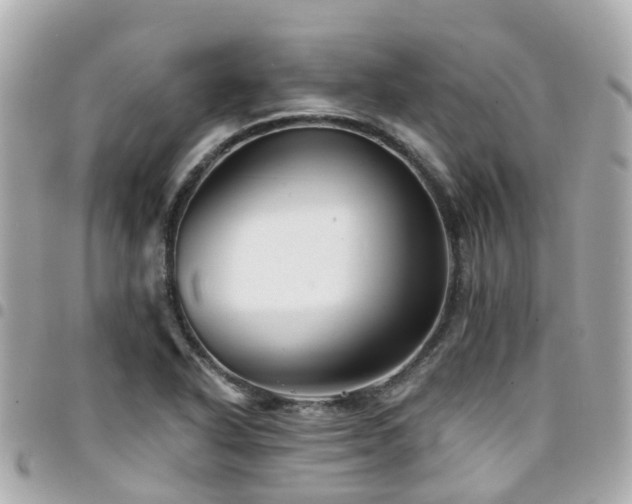 X0000094421318200711081129