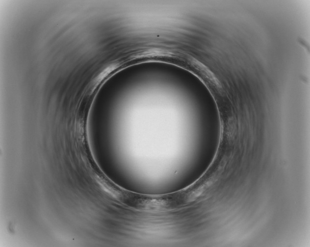 X0000094421321200711081129