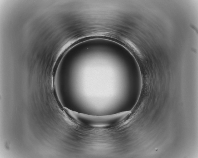 X0000094421324200711081129