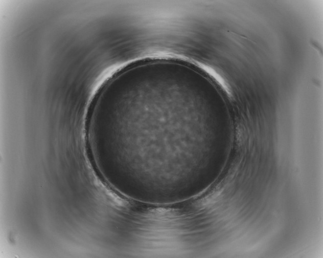 X0000094421327200711081129