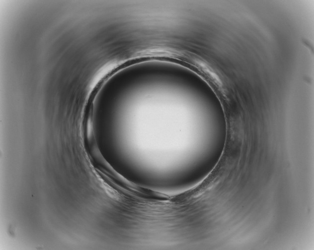 X0000094421328200711081129