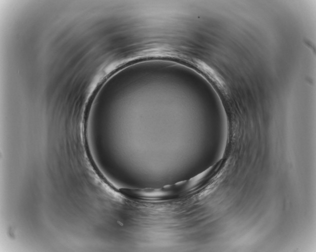 X0000094421334200711081129