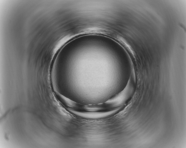 X0000094421336200711081129