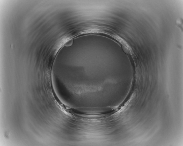 X0000094421337200711081129
