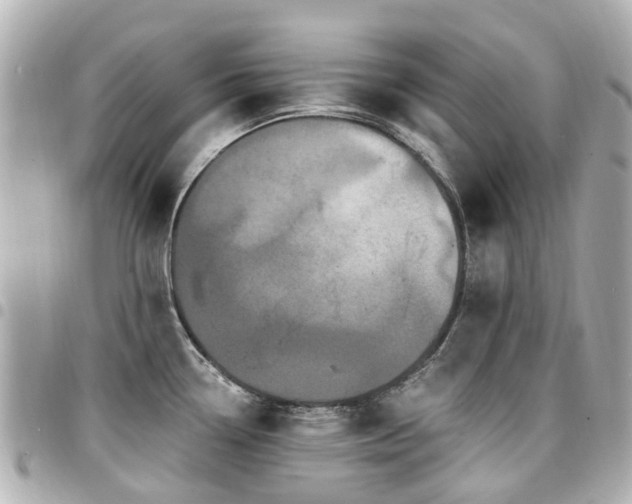 X0000094421338200711081129