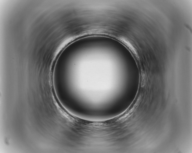 X0000094421342200711081129