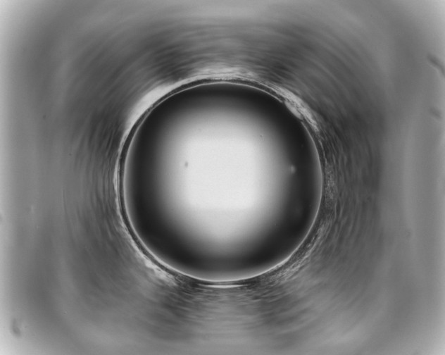 X0000094421343200711081129