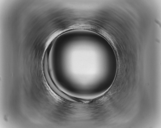 X0000094421344200711081129