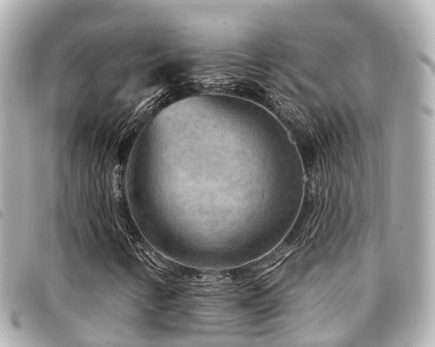 X0000094421346200711081129