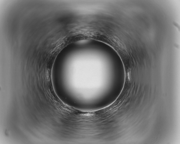 X0000094421347200711081129