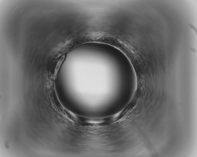 X0000094421349200711081129