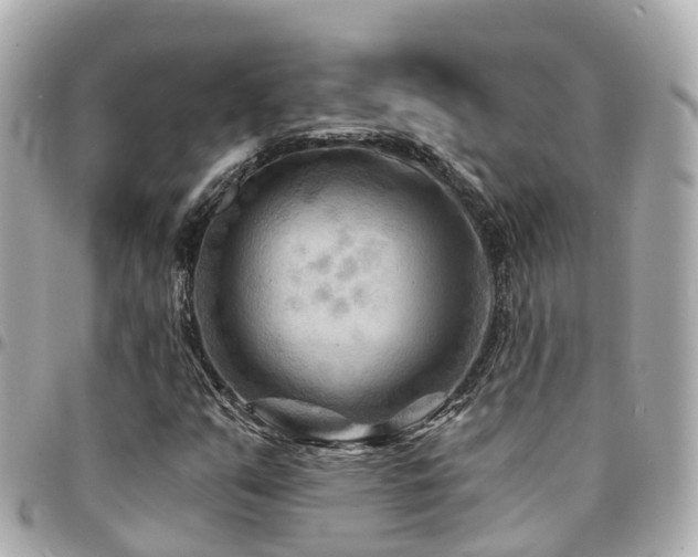 X0000094421351200711081129
