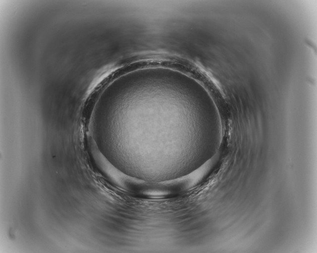 X0000094421352200711081129