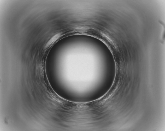 X0000094421354200711081129