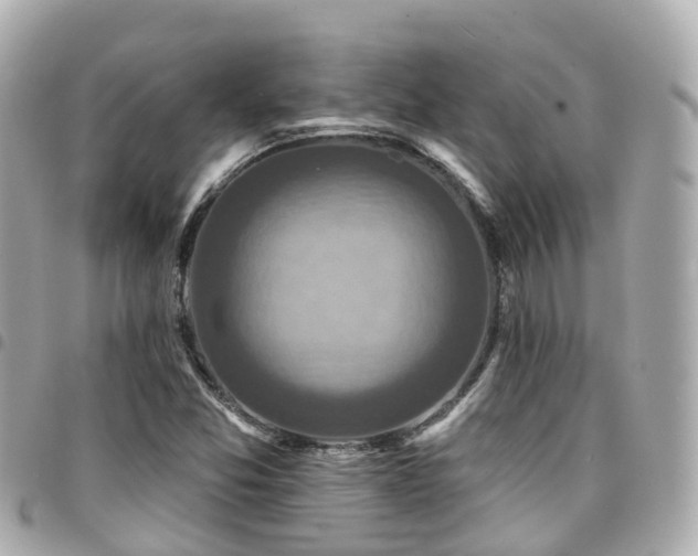 X0000094421357200711081129