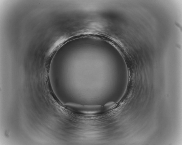X0000094421359200711081129