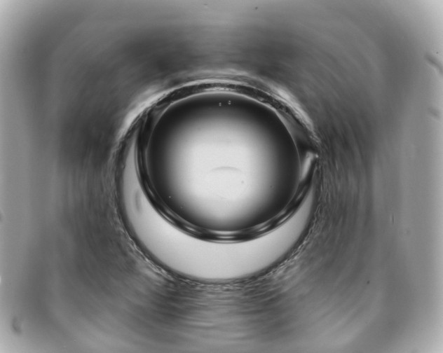 X0000094421360200711081129