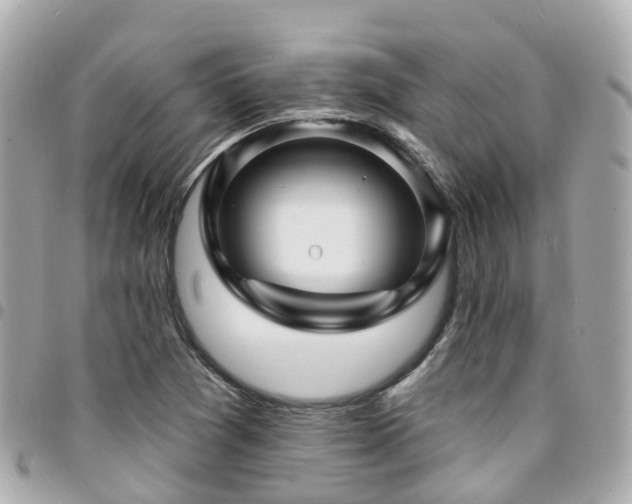 X0000094421361200711081129