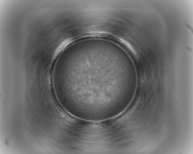X0000094421362200711081129