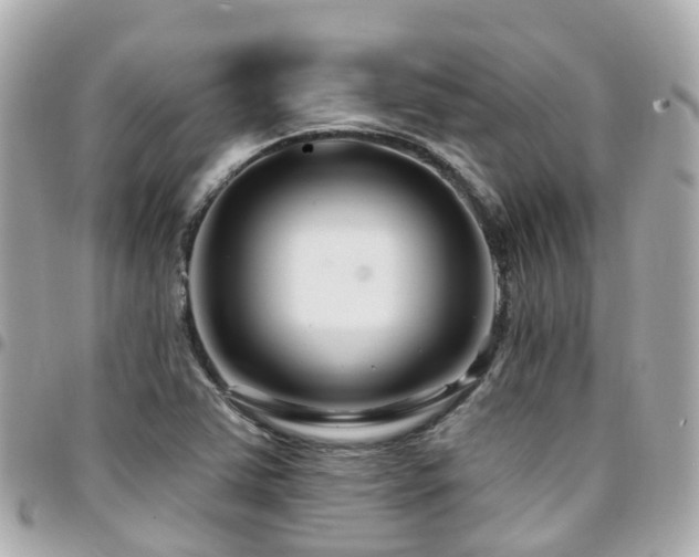 X0000094421363200711081129