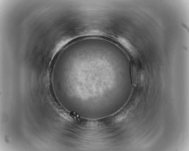 X0000094421364200711081129
