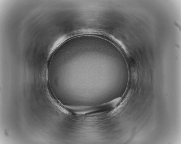 X0000094421365200711081129