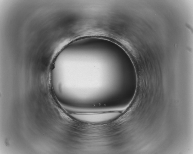 X0000094421366200711081129