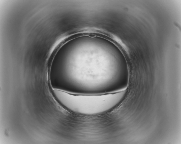 X0000094421368200711081129