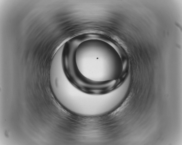 X0000094421369200711081129