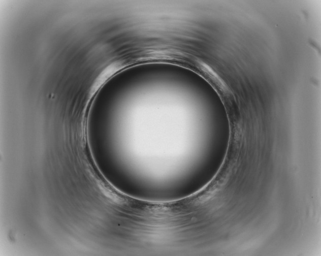 X0000094421370200711081129