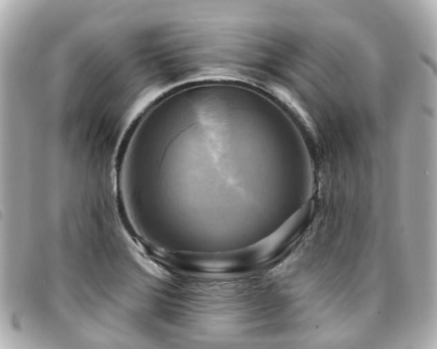 X0000094421372200711081129