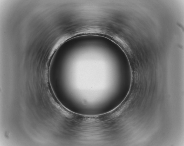 X0000094421374200711081128