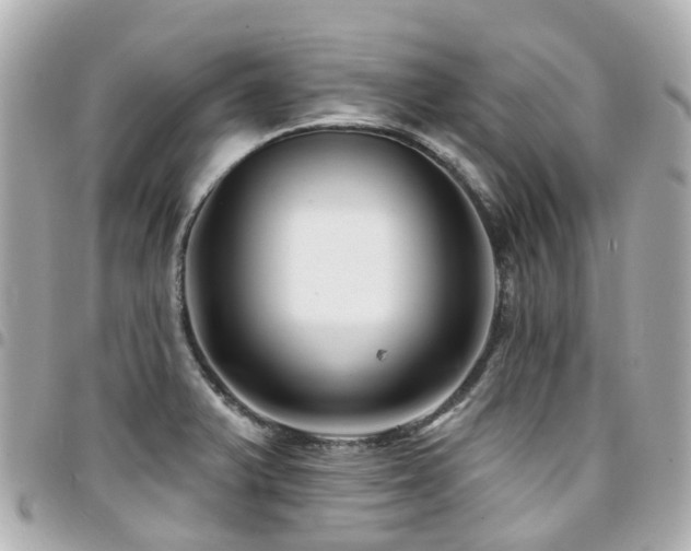 X0000094421375200711081128