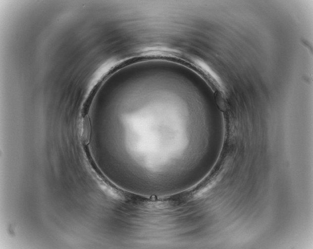 X0000094421376200711081128
