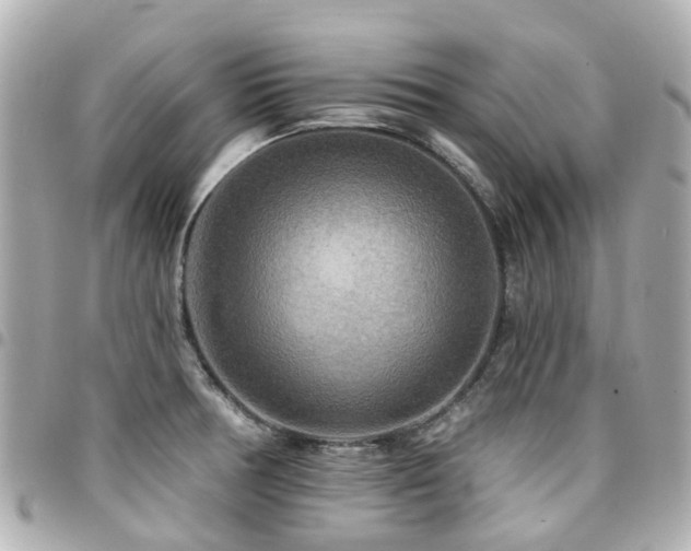 X0000094421378200711081128