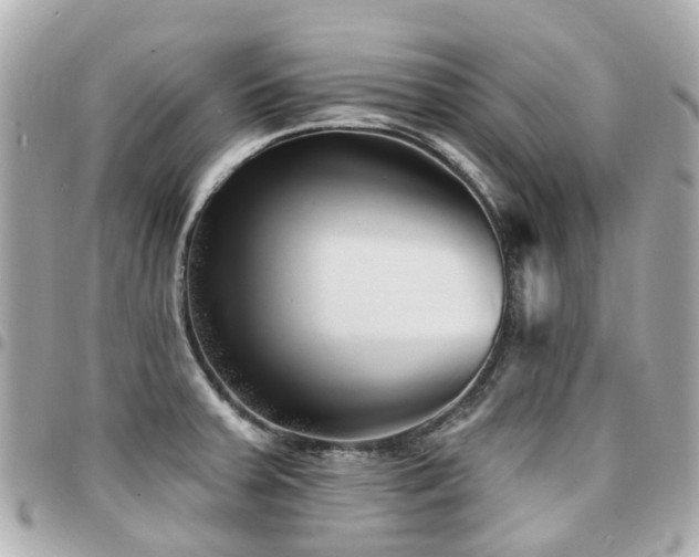 X0000094421379200711081128