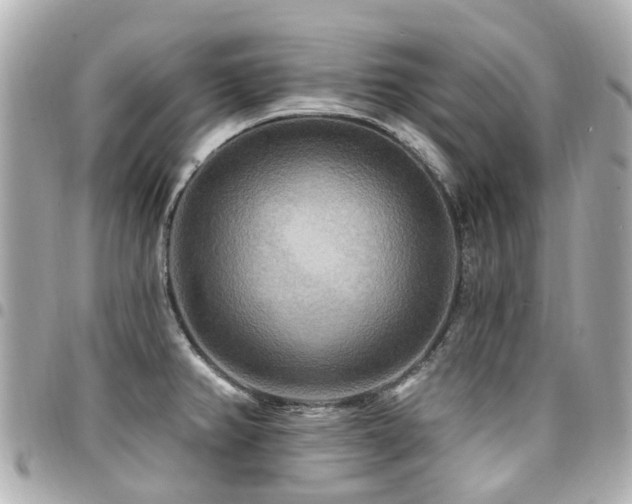 X0000094421382200711081128