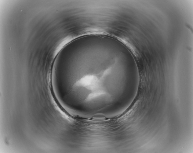 X0000094421383200711081128