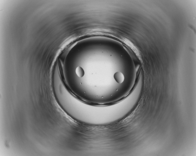 X0000094421384200711081128