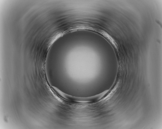 X0000094421385200711081128