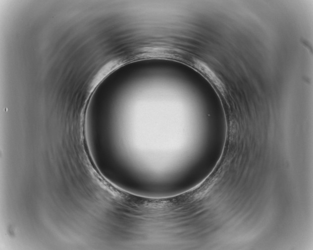 X0000094421386200711081128