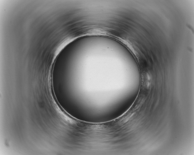 X0000094421387200711081128