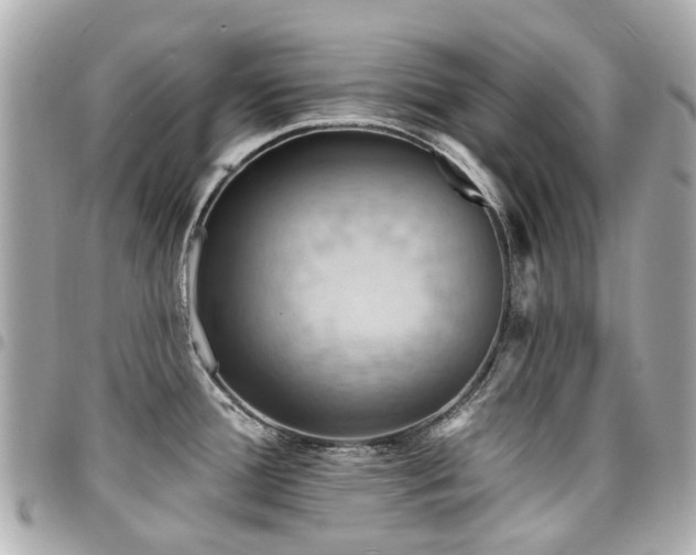 X0000094421388200711081128